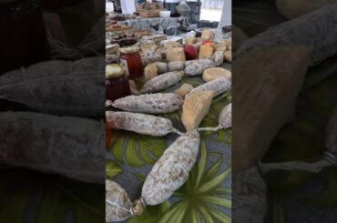 Italian Cheeses and Salami Sausages. Italy Food Fstival