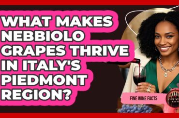 What Makes Nebbiolo Grapes Thrive In Italy's Piedmont Region? - Fine Wine Facts