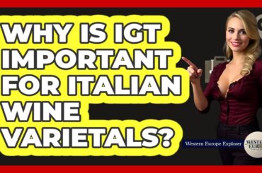 Why Is IGT Important For Italian Wine Varietals? - Western Europe Explorer