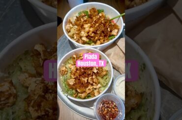 BEST ITALIAN FOOD IN HOUSTON? Piada Review