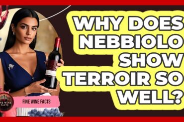 Why Does Nebbiolo Show Terroir So Well? - Fine Wine Facts