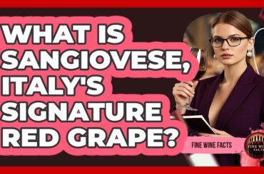 What Is Sangiovese, Italy's Signature Red Grape? - Fine Wine Facts