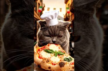 Cat vs. Pizza: The Ultimate ASMR Showdown