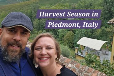 Harvest Season in Italy's Hidden Wine Gem, Piedmont