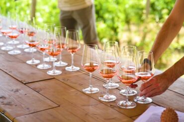 Tuscan Lunch with Cheese and Wine Tour