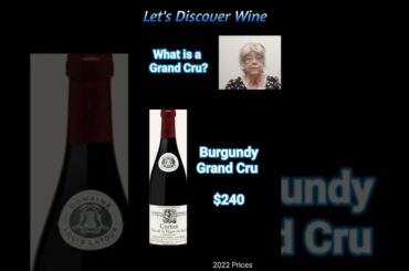 What is a Grand Cru Wine? @Let's Discover Wine (104d) #wine  #grandcru #grandcruwine #shorts