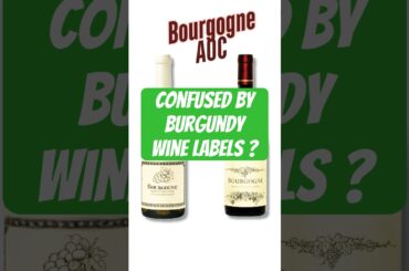 Burgundy Wine Made Simple for Beginners!