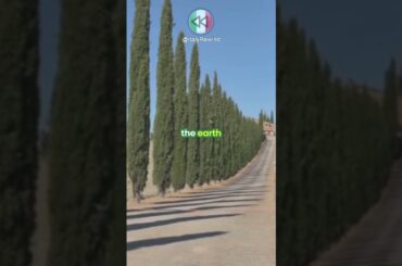 Tuscany Travel  Seaside Towns, Rolling Hills, Pasta, and Chianti!