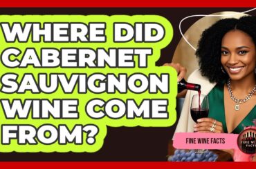 Where Did Cabernet Sauvignon Wine Come From? - Fine Wine Facts