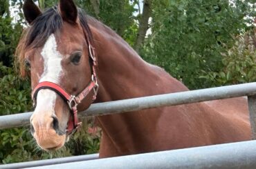 Discover Tuscany and Incredible Florence, Italy. The art is incredible and food divine. #Perillo