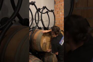 Rolling barrels batonnage at Contrada Contro, Italy thewinearound #batonnage #barrels #wine #vino