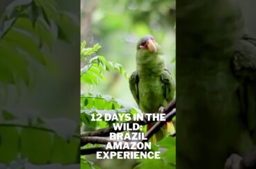 Epic Travel Deals You Can’t Miss! | TourRadar’s BFCM SALE | Up to 70% Off Adventures