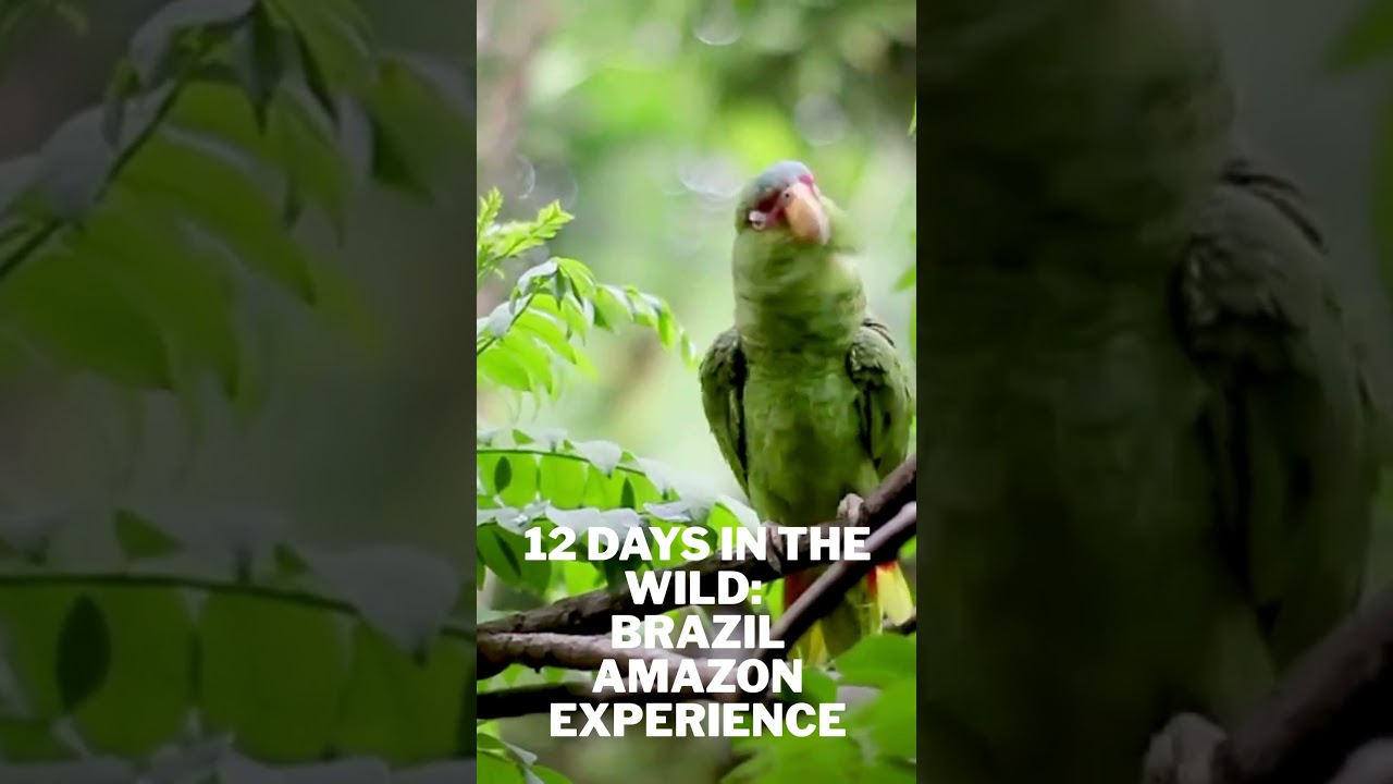 Epic Travel Deals You Can’t Miss! | TourRadar’s BFCM SALE | Up to 70% Off Adventures Epic Travel Deals You Can’t Miss! | TourRadar’s BFCM SALE | Up to 70% Off Adventures