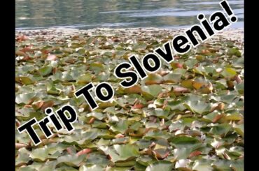Trip To Slovenia!