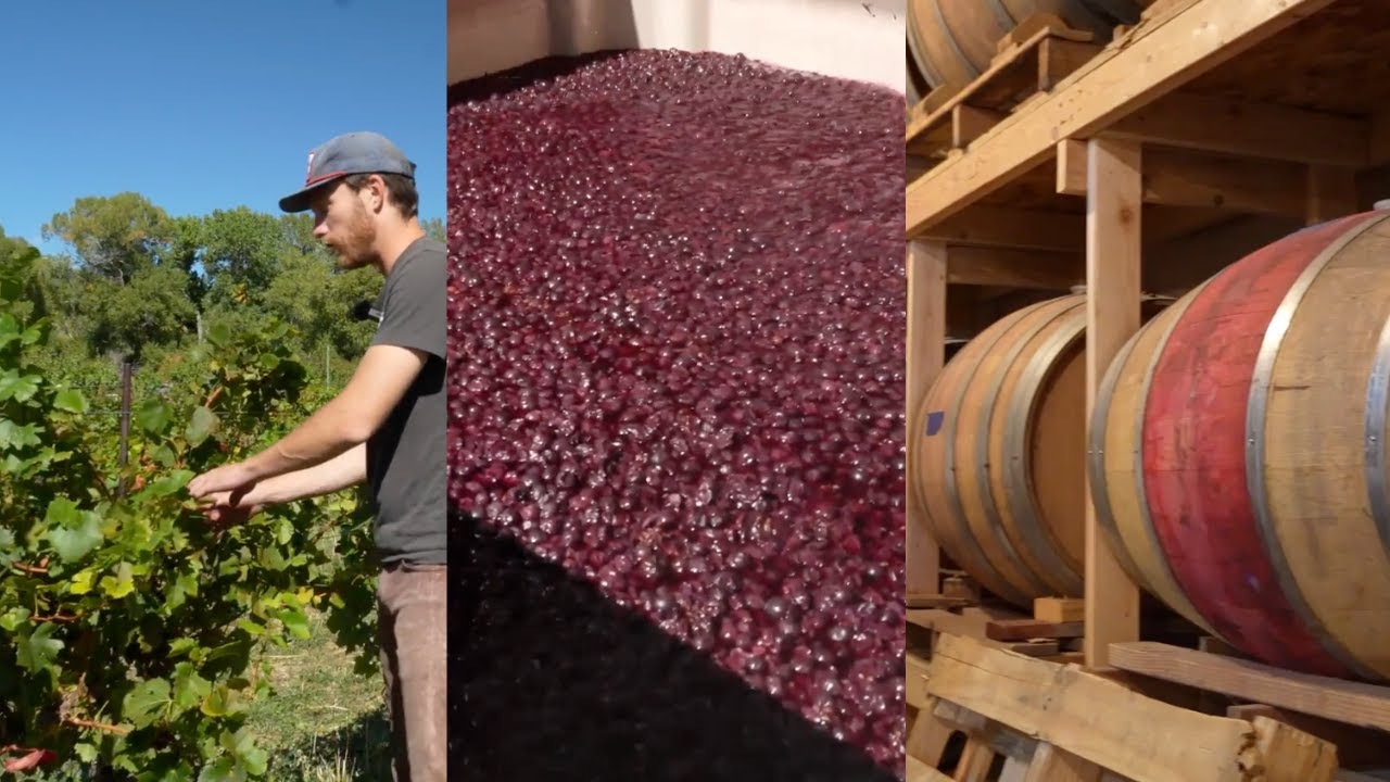 Why Low Intervention Wine Doesn’t Give You Hangovers Why Low Intervention Wine Doesn't Give You Hangovers