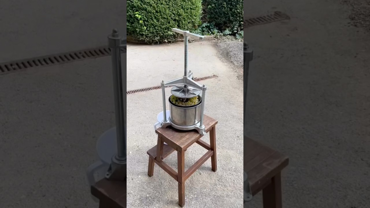 Take some grape samples with me in Italy! #winemaking #sample #italy Take some grape samples with me in Italy! #winemaking #sample #italy