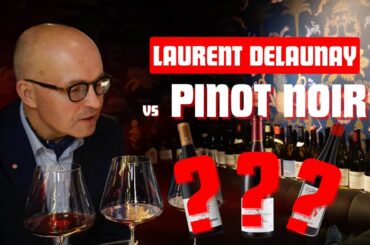 The Pinot Noir that fooled a Burgundy legend