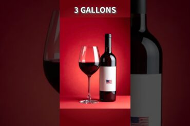 The War Over Wine: America vs France