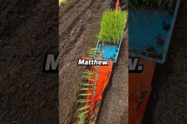 Parents gave my brother 100 K for a house and gave me nothing. But you were the failure...