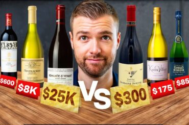 These 10 CHEAP Wines Taste the Same as the MOST EXPENSIVE Wines on Earth