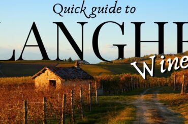 The 5-Minute Guide to LANGHE Wines (Barolo, Barbaresco & Nebbiolo Explained)