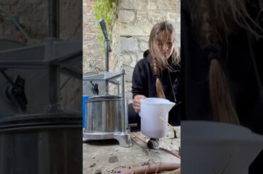 Wine sampling at Castello di Montegiove ft. Emma the cat  #italy #waterintowine #cat