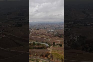 Wine yards in Autums. Colours of the Langhe, Italy