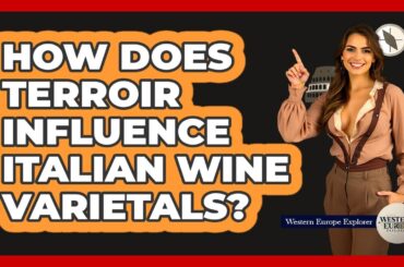 How Does Terroir Influence Italian Wine Varietals? - Western Europe Explorer