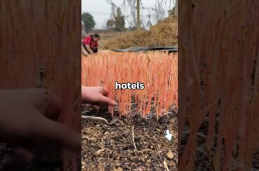 I stood alone outside a tiny Italian restaurant watching my husband's car disappear around the...