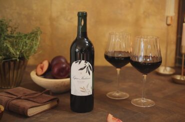 Super Italiano - Cooper's Hawk December 2025 Wine of the Month