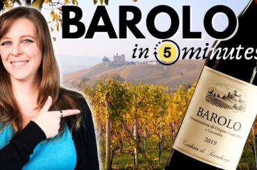 BAROLO Wine Guide: The "King of Wines" Explained in 5 Minutes
