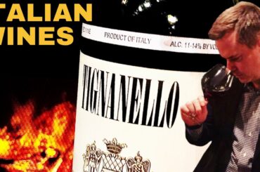 18 Top Italian Wines You Have to Try Now! (2025)