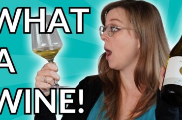 Taste with Us a BOLD ITALIAN WHITE WINE Ready for Sipping!