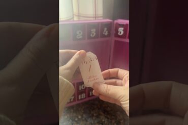 Day 1 of 25 #baking #countdown #lemon #italian #cookies