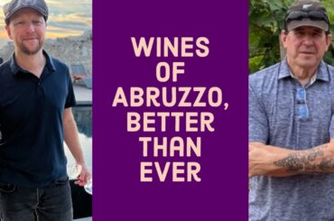 Wines of ABRUZZO, An In-Depth Look