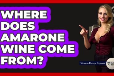Where Does Amarone Wine Come From?