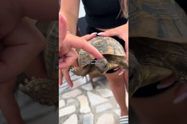 Making traditional Sardinian cuisine with pastasciutta #cookingclass #sardinia #italy