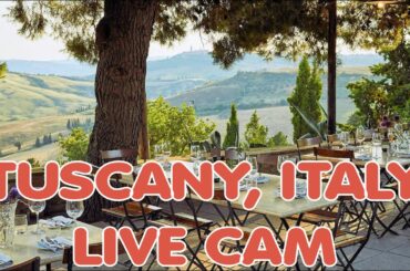 Tuscany, Italy Live Webcam - Vineyard and Restaurant