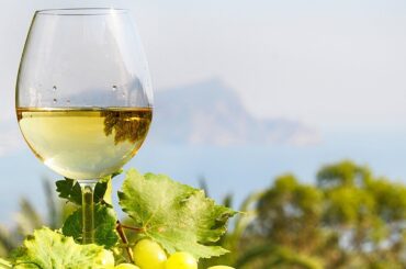 Inzolia Wine of Sicily: A Taste of Mediterranean Heritage
