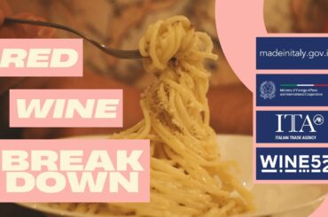 Food and Wine of Italy Red Wine Breakdown