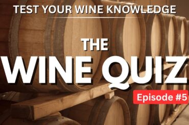 Test your WINE Knowledge with our QUIZ - WSET style wine questions (Episode #5)