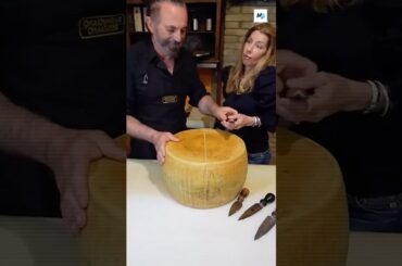 Why This Traditional Italian Cheese is Very Hard to Slice #surprisingfacts #shorts #cheese