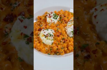 Creamy Cherry Tomato & Burrata Ditalini #pasta