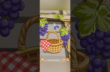 “Grape Wine Making ASMR | Italian grape wine”#wine #italianfood #viral #italianwines #shortsfeed