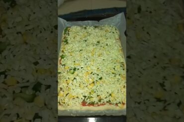 Homemade Veg Pizza Recipe #shorts #salwakirecipe #food #asmrfood #cooking #pizza #youtubeshorts