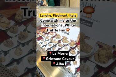 We Ate Our Way Through the Langhe. Barolo, Truffles, and Meat!