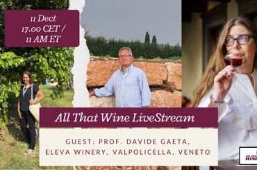 All That Wine with guest: Prof. Davide Gaeta, Eleva Winery, Valpolicella, Veneto