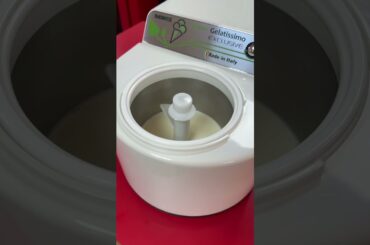 Italian Ice Cream and Coffee by Gaggia. Ice cream made fresh using the Nemox Gelatissimo.