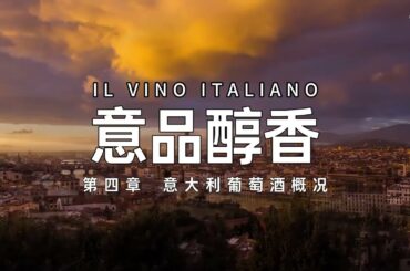 VINO DEGUSTATORE 4 - Italian Wine: A Comprehensive Overview