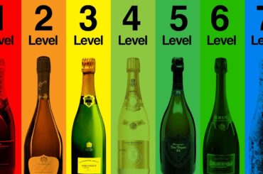 The 7 Levels of Champagne